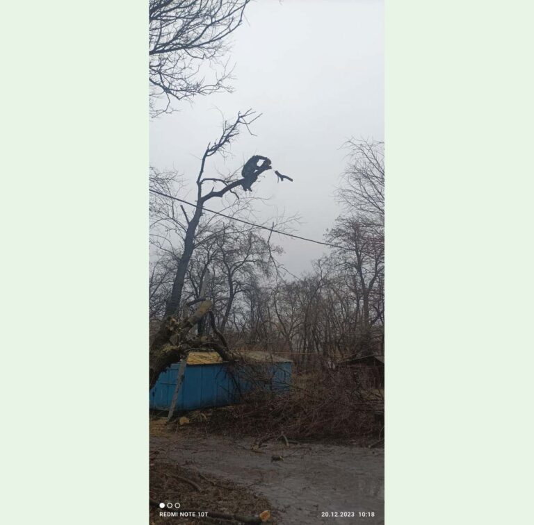 Спил дерева Донецк 4